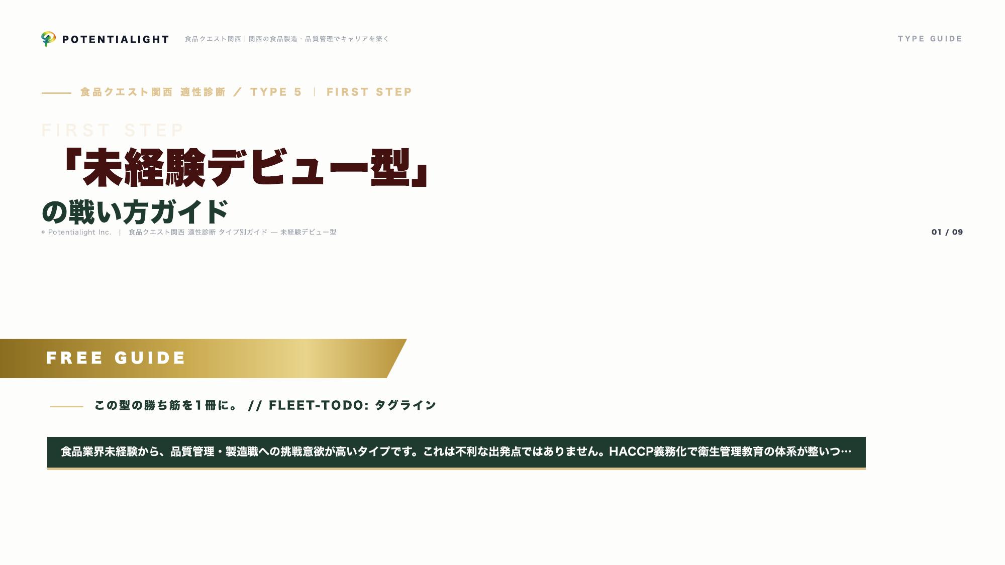 未経験デビュー型の戦い方ガイド 表紙